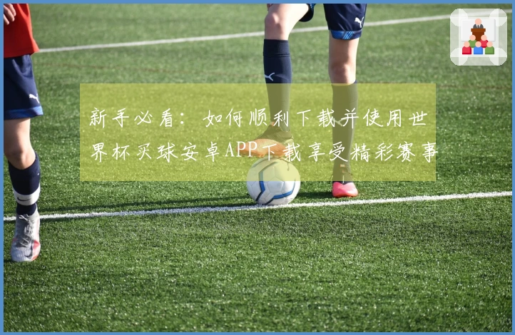 新手必看：如何顺利下载并使用世界杯买球安卓APP下载享受精彩赛事直播