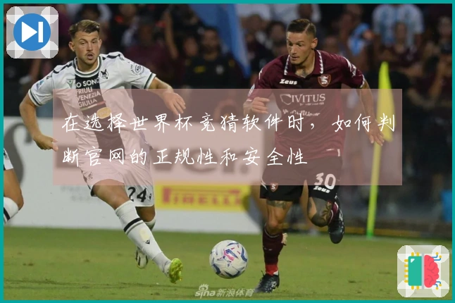 在选择世界杯竞猜软件时，如何判断官网的正规性和安全性