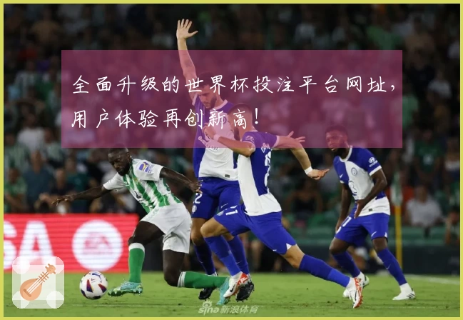 全面升级的世界杯投注平台网址，用户体验再创新高！