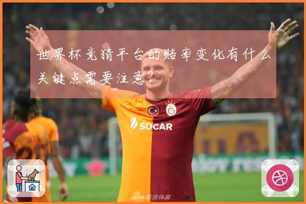 世界杯竞猜平台的赔率变化有什么关键点需要注意？