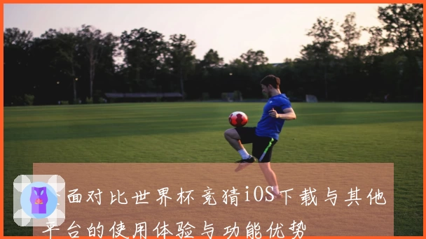 全面对比世界杯竞猜iOS下载与其他平台的使用体验与功能优势