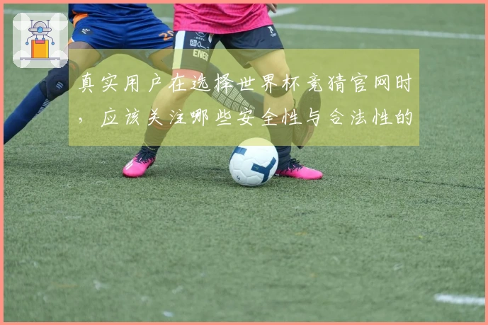 真实用户在选择世界杯竞猜官网时，应该关注哪些安全性与合法性的问题？
