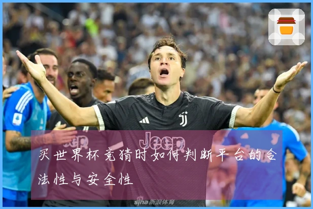 买世界杯竞猜时如何判断平台的合法性与安全性