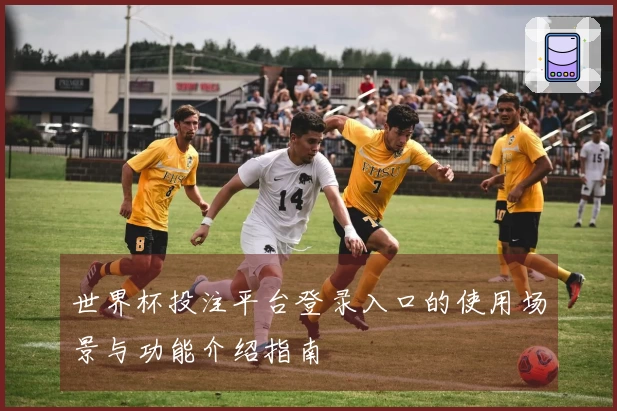 世界杯投注平台登录入口的使用场景与功能介绍指南