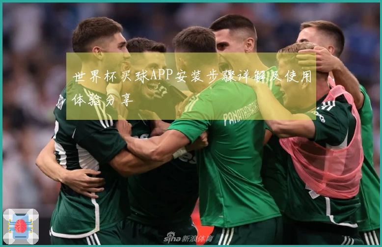 世界杯买球APP安装步骤详解及使用体验分享