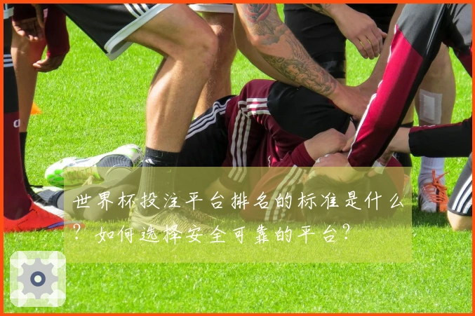 世界杯投注平台排名的标准是什么？如何选择安全可靠的平台？