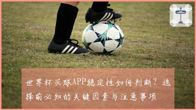 世界杯买球APP稳定性如何判断？选择前必知的关键因素与注意事项